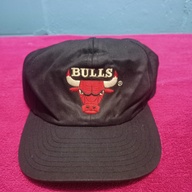 Vintage Bulls
