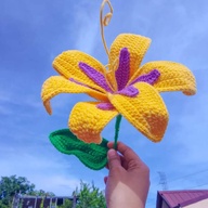 Crochet Flower