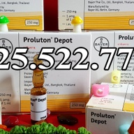 PROLUTON DEPOT 250MG - GERMANY