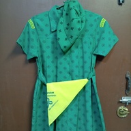 GIRL SCOUT DRESS