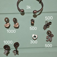 Authentoc Pandora Items sold separately