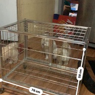 Stainless Dog Cage