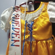 Ms.Sweden United Nations Costume