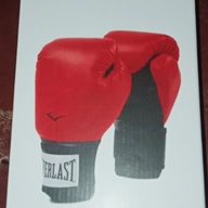 Everlast Boxing gloves WITH Titans hand wrap