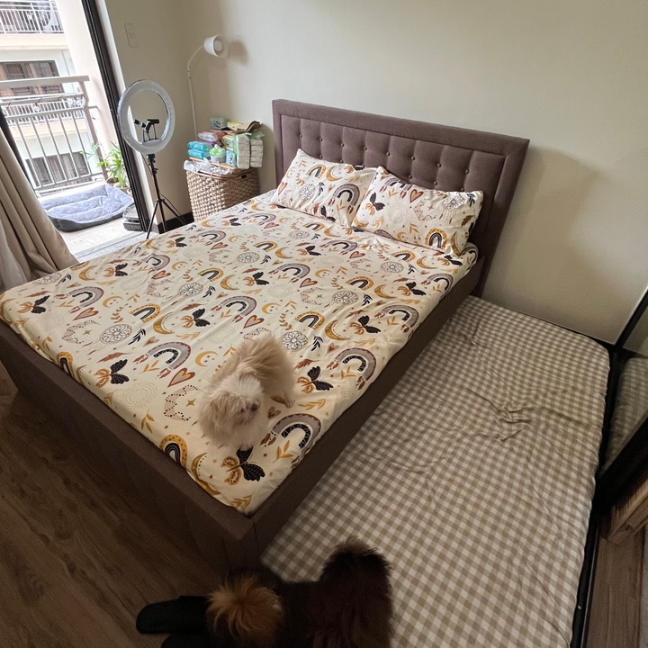 Aesthetic Queen Size Bed Frame with Uratex foam 6" w cover at 15000.00