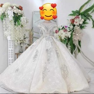Ball Gown/wedding gown