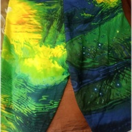 Bodyboard Shorts