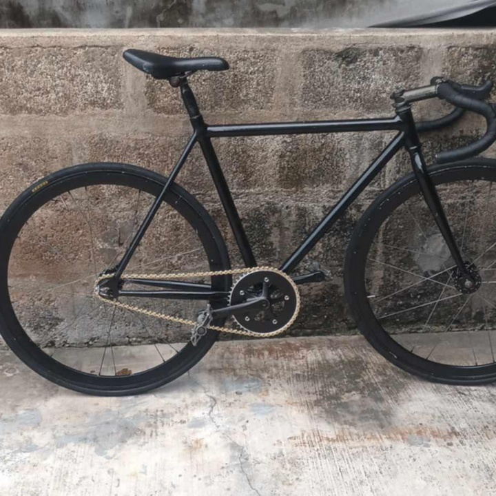 Celt fixie sale