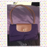 Longchamp bag (L)