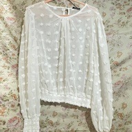 White See through Long Sleeves (Shein)