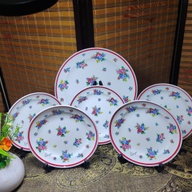 Plate and Cake Plates Set