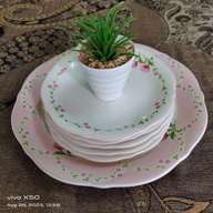 Pink Rose Big and Cake Plates Set