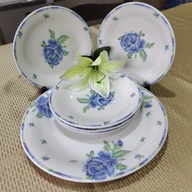 Dinner Plate with Cake or Dessert Plates Set