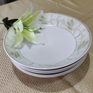 Dinnerware Pasta or Curry Plates