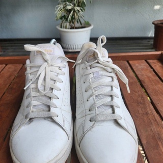 LookingFour