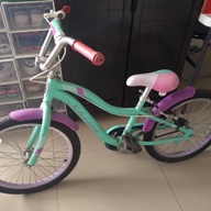 Slightly used bike for girls