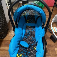 Stroller with carseat