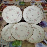 Dessert or Cake Plates Set