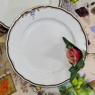 Dinner Plates with Black and Gold Rim Edges and Flowery Vine Set