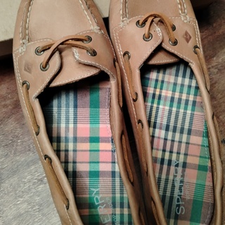 LookingFour
