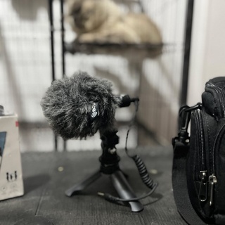 LookingFour
