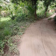 1.2M FARM LOT FOR SALE