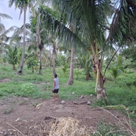 2 HECTARES FARM LOT FOR SALE
