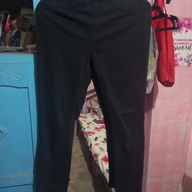 Uniqlo Jegging Pants