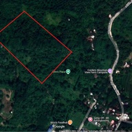 🌿 For Sale: 2-Hectare Farm with Mature Fruit-Bearing Trees – San Andres, Tanay, Rizal – ₱3.5 Million Only! 🍍🌳