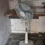 electric fan