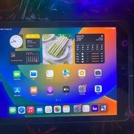 iPad Pro 9.7 128gb Wifi