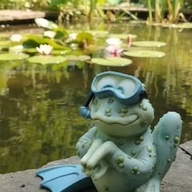 🐸 The Scuba Squad Frog