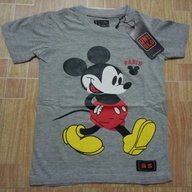 Mickey Shirt