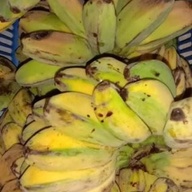 Banana for sale