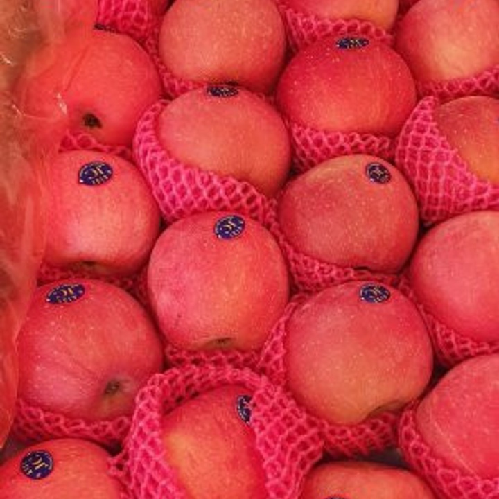 Apple at 25.00 from Quezon City. LookingFour Buy & Sell Online