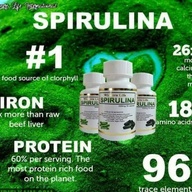 Winnerslife Organic Spirulina Powder Capsule