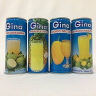 Gina Fruit Juice