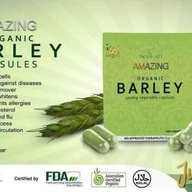 Amazing Pure Organic Barley Capsule