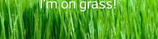 Cover Photo