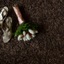 Seller Image