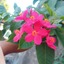 Seller Image